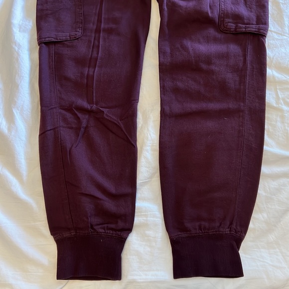 Aritzia Community Cebu Pant - Picture 7 of 8